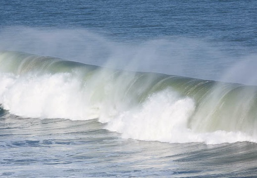 201201311432-DSC02884.jpg