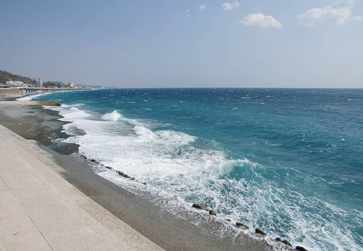 201202011155-DSC03254.jpg