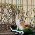 201202021315-DSC03680.jpg