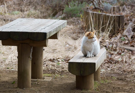 201202021428-DSC03740.jpg