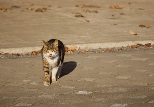 201202021527-DSC03905.jpg
