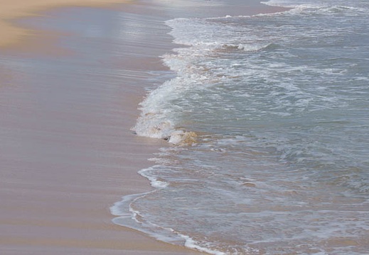 201202031308-DSC03994.jpg