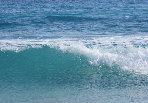 201202031312-DSC03996.jpg