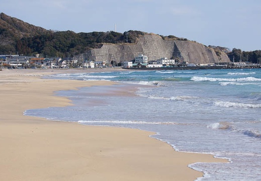 201202031341-DSC04170.jpg