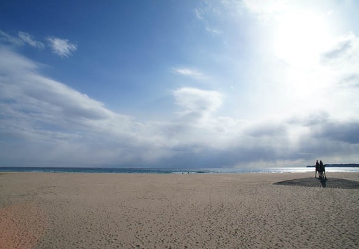 201202031351-DSC02248.jpg