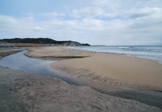 201202031415-DSC02291.jpg
