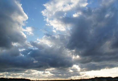201202031618-DSC02406.jpg
