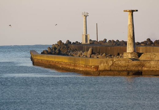 201202031638-DSC04419.jpg