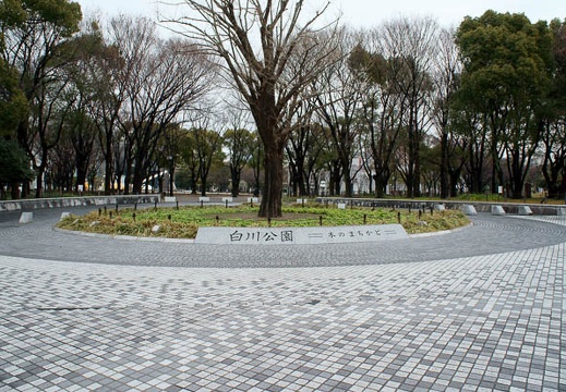 201202071052-DSC02674.jpg