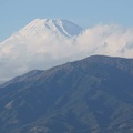 201202081622-DSC05314.jpg