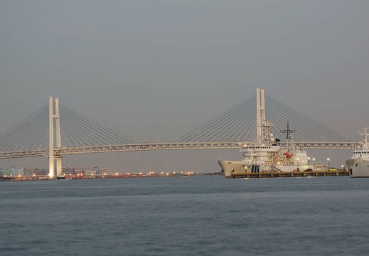 201202101731-DSC06282.jpg