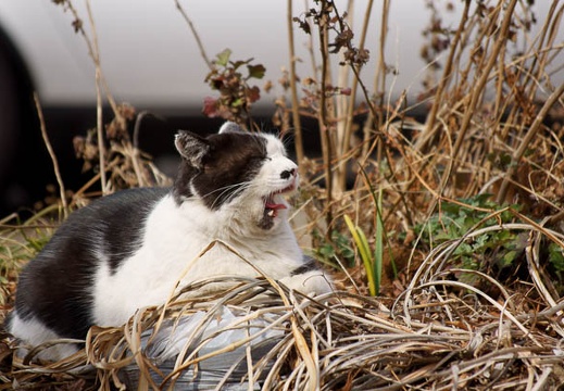 201202151302-DSC07705.jpg