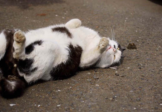 201202151305-DSC07722.jpg