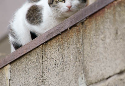 201202151332-DSC07768.jpg