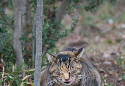 201202151542-DSC07929.jpg