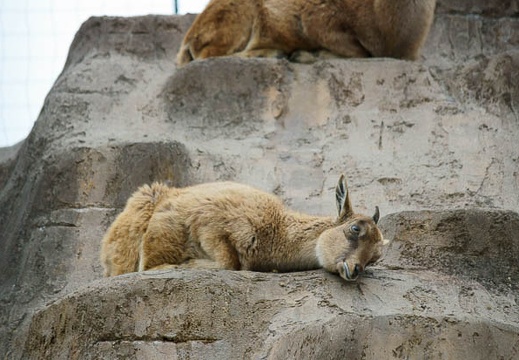 201202151545-DSC07931.jpg