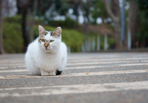201202151604-DSC07986.jpg