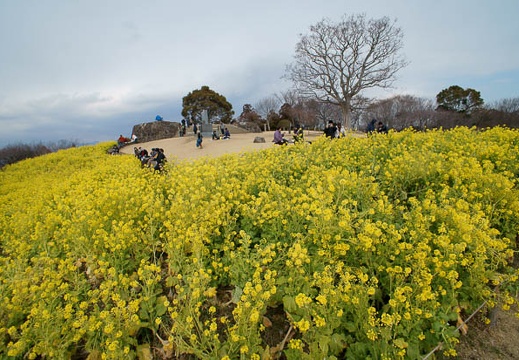201202171247-DSC03368.jpg