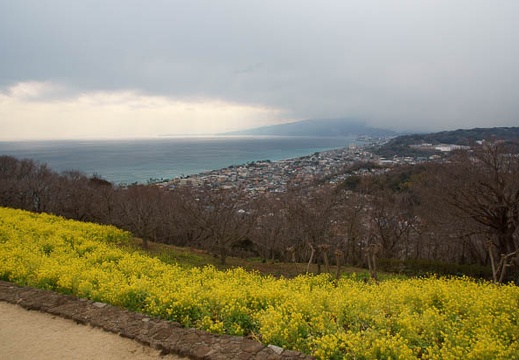 201202171353-DSC08269.jpg