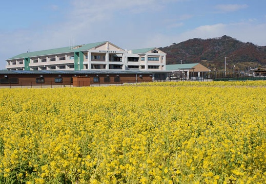 201202191016-DSC08439.jpg