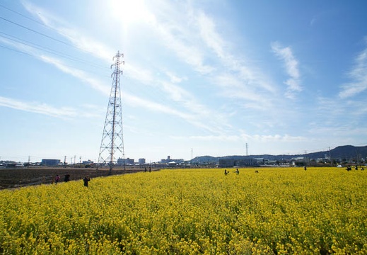 201202191045-DSC03531.jpg