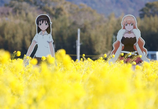 201202191100-DSC08568.jpg
