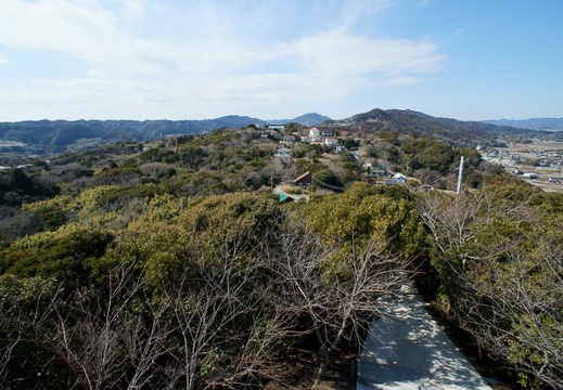 201202191150-DSC03566.jpg