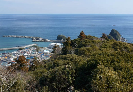 201202191152-DSC08631.jpg
