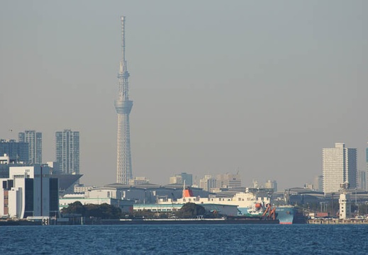 201202201548-DSC09366.jpg