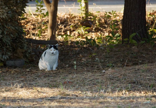 201202201557-DSC09386.jpg