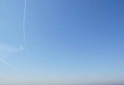 201202211136-DSC03769.jpg