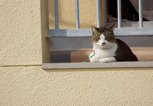 201202211418-DSC09902.jpg