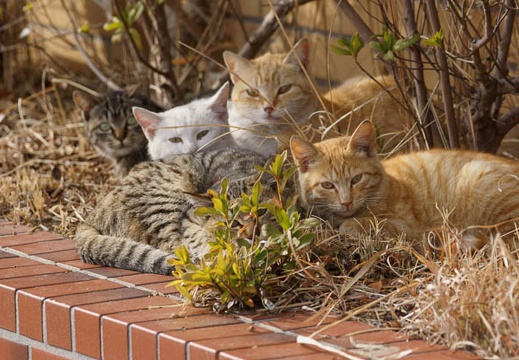 201202211419-DSC09906.jpg