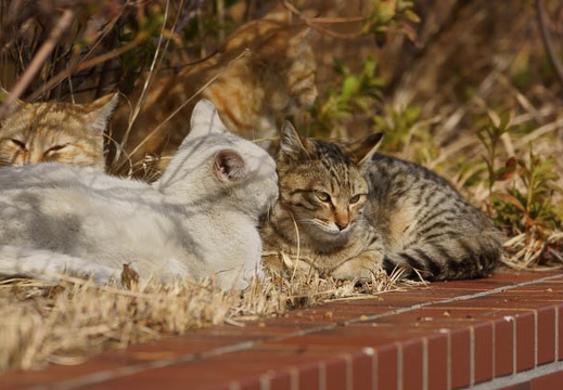 201202211422-DSC09927.jpg