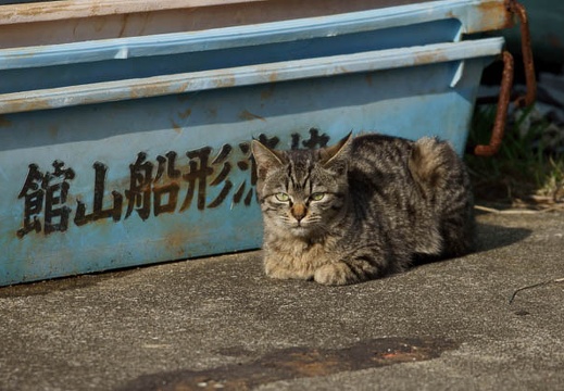 201202211423-DSC09929.jpg