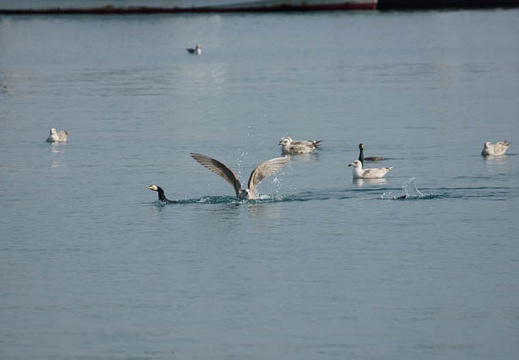 201202211425-DSC09939.jpg