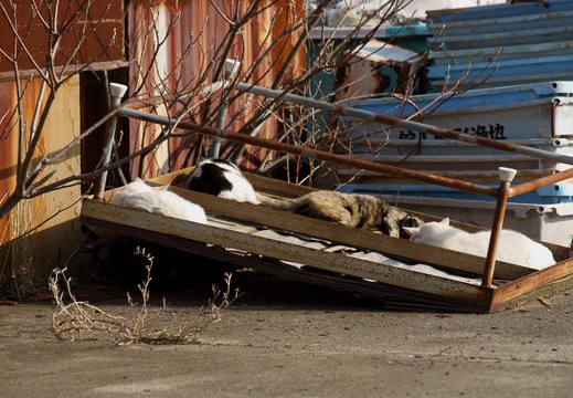 201202211453-DSC00033.jpg
