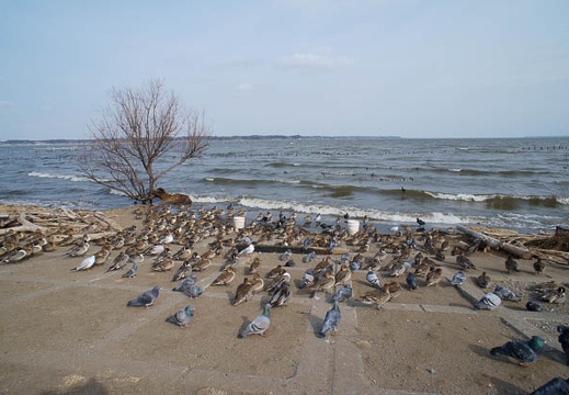 201202221349-DSC03882.jpg