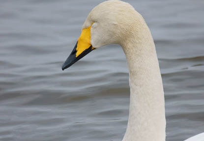 201202221552-DSC00982.jpg