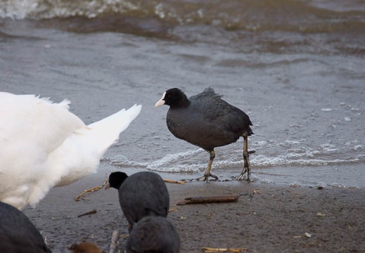 201202221601-DSC01020.jpg