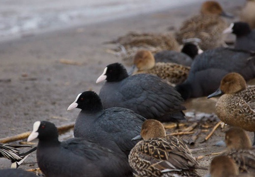 201202221604-DSC01029.jpg