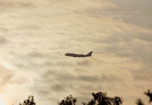 201202221620-DSC01076.jpg