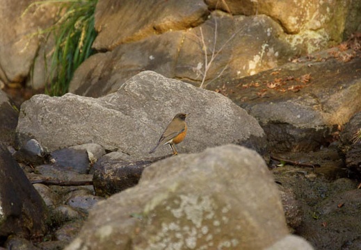 201202221627-DSC01078.jpg