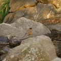 201202221627-DSC01078.jpg