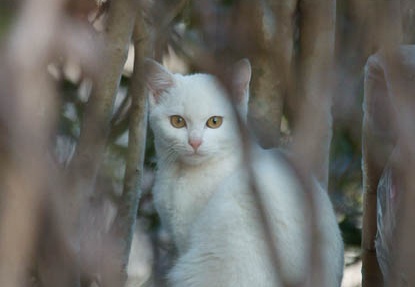 201202221635-DSC01089.jpg