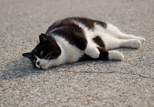 201202241503-DSC01799.jpg
