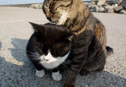 201202241507-DSC04035.jpg