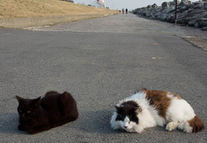 201202241528-DSC01830.jpg
