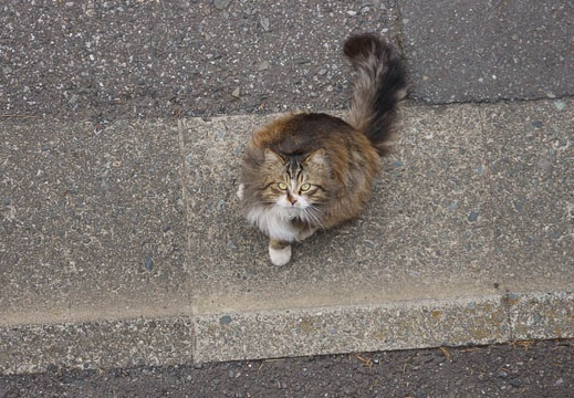 201202281339-DSC02798.jpg