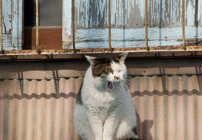201202281422-DSC02818.jpg